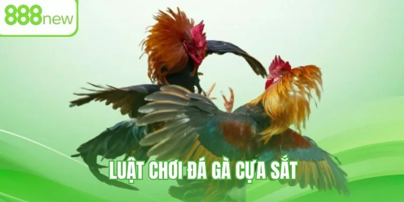 Luật chơi đá gà cựa sắt - Quy tắc và bí kíp cược thắng lớn