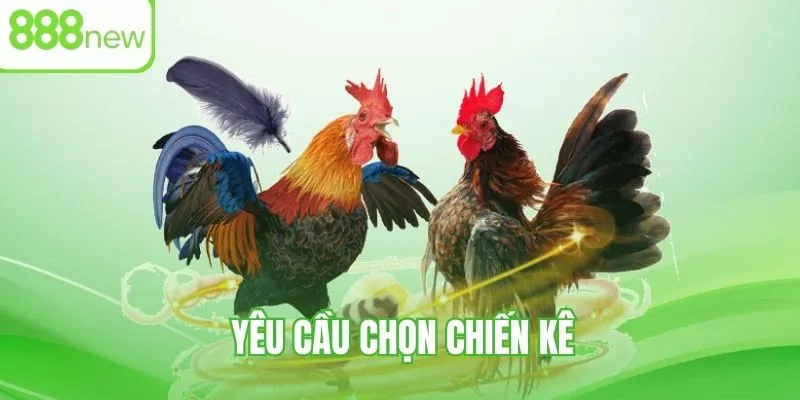Nguyên tắc chọn chiến kê