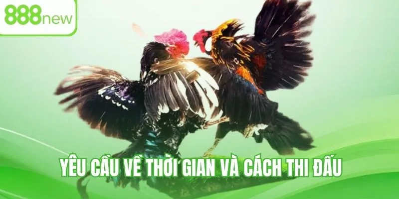 Nội quy về thời gian và quy cách thi đấu