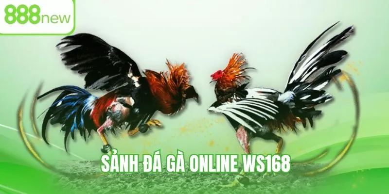 Tham gia chọi gà online cùng WS168